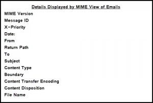 Details Displayed by MIME View