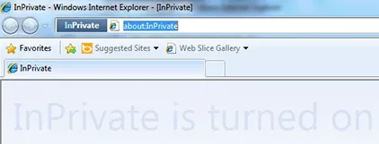 IE-Priv