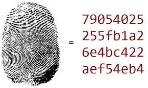 MD5 Works as A Fingerprint