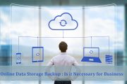 Online Cloud Data Storage Backup: Is It Necessary for Your Business?