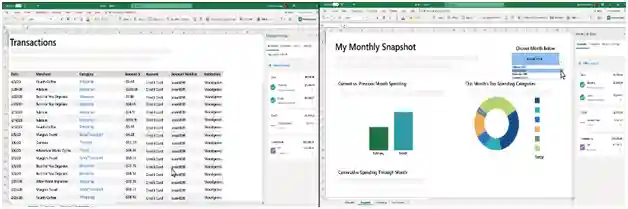 Money Feature in Excel